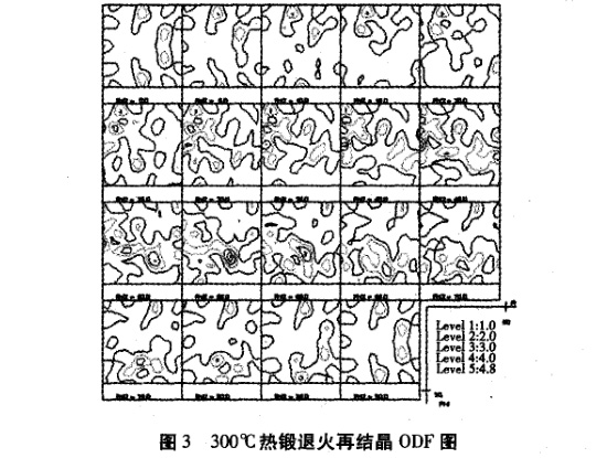 1649900493318335.jpg t3.jpg