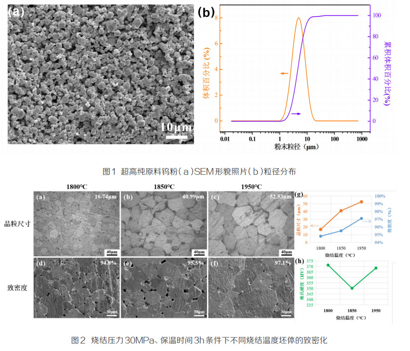 1668832356999785.jpg k1.jpg