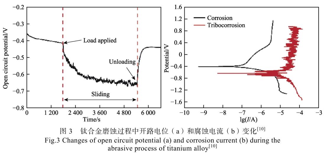 1692885052111295.jpg t3.jpg