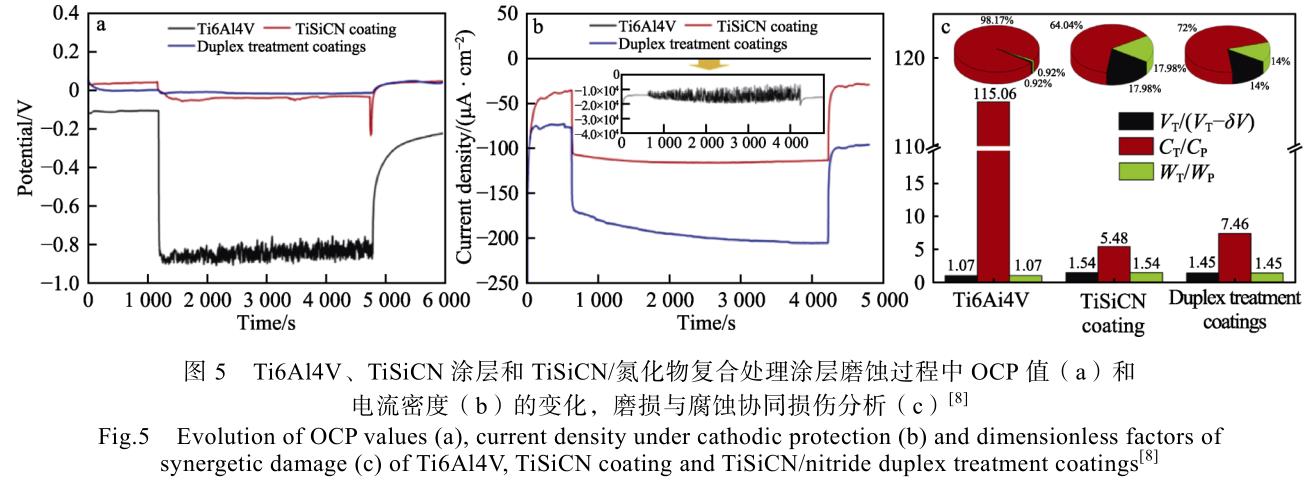 1692885106843179.jpg t5.jpg