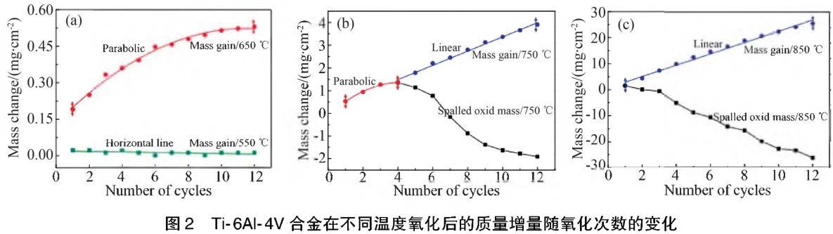 1696154412749936.jpg t2.jpg