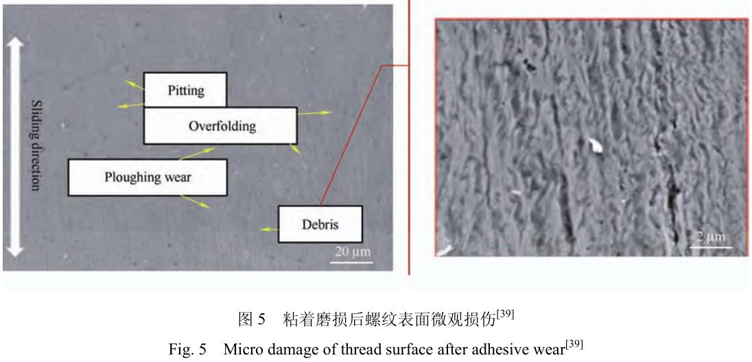 1706095421799786.jpg t5.jpg