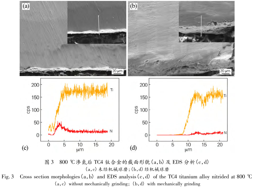 1706185540485936.jpg t3.jpg