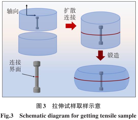 1700448930524482.jpg b3.jpg