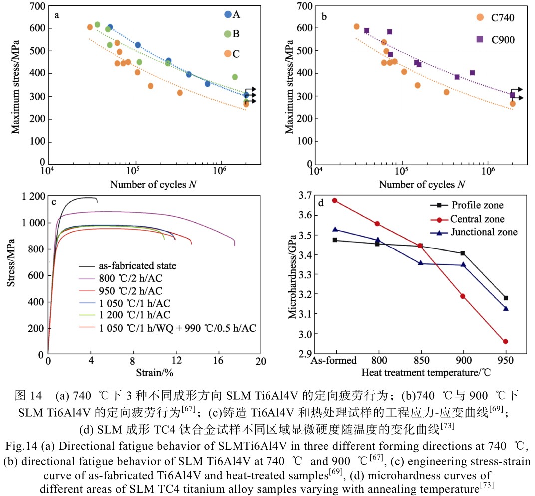 1715136988213711.jpg t14.jpg