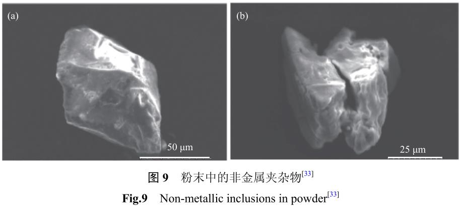 1721484146533975.jpg t9.jpg