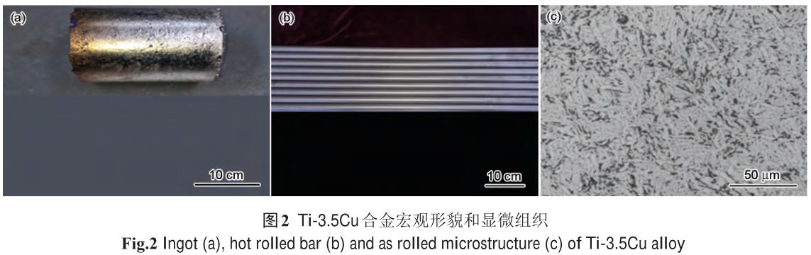 1721658833487457.jpg t2.jpg