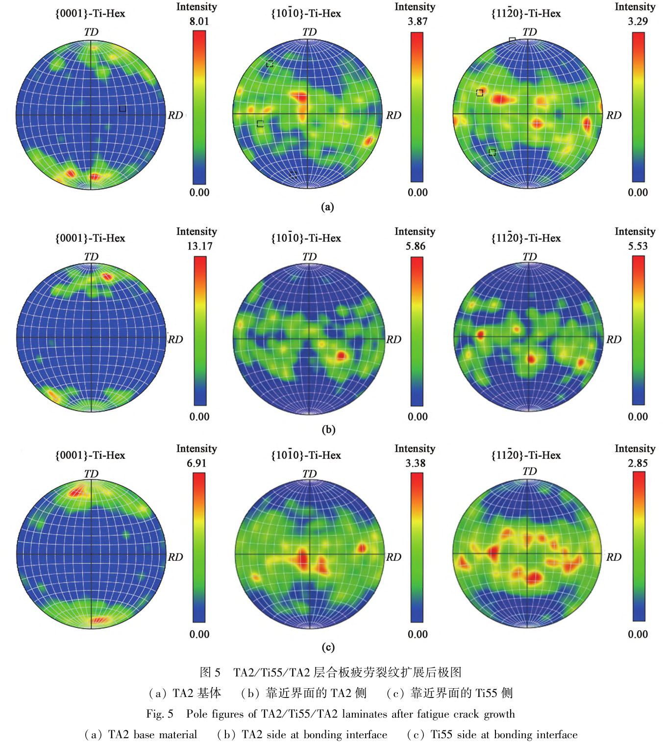 1722830165825421.jpg t5.jpg