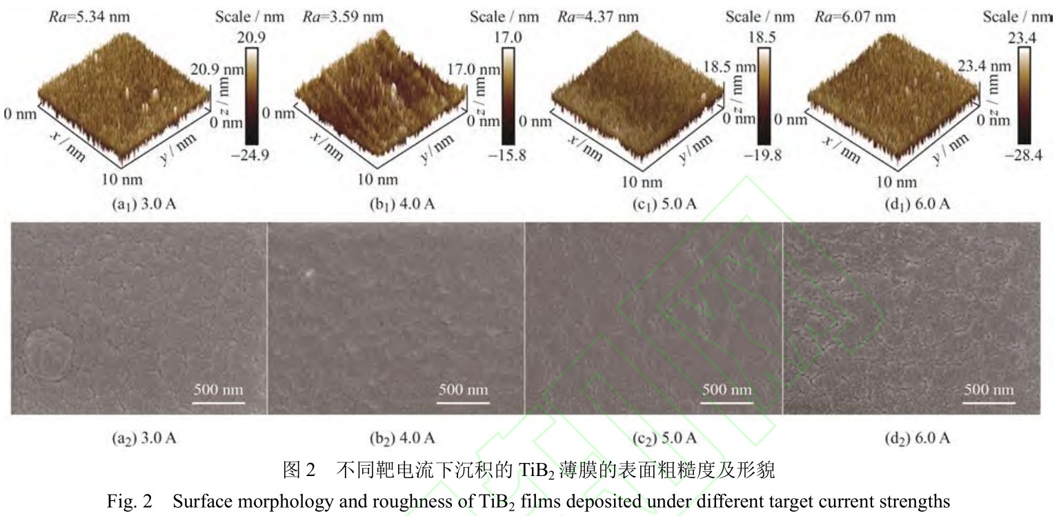 1725376870441927.jpg t2.jpg