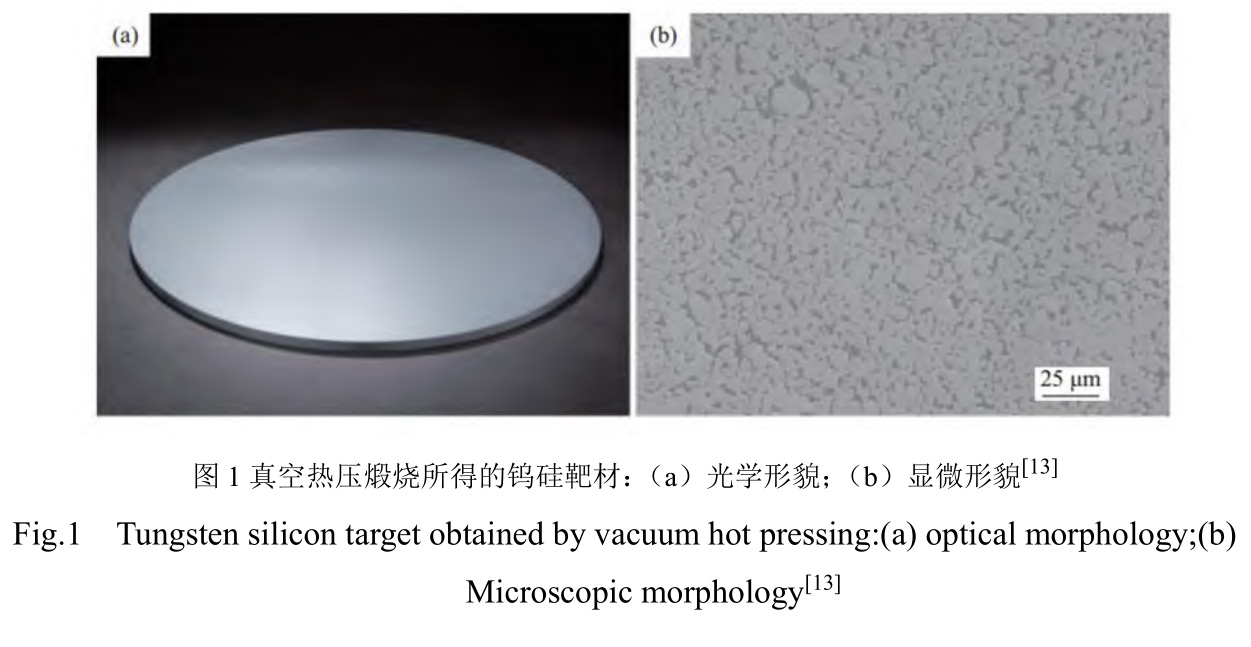 1728214090377692.jpg t1.jpg