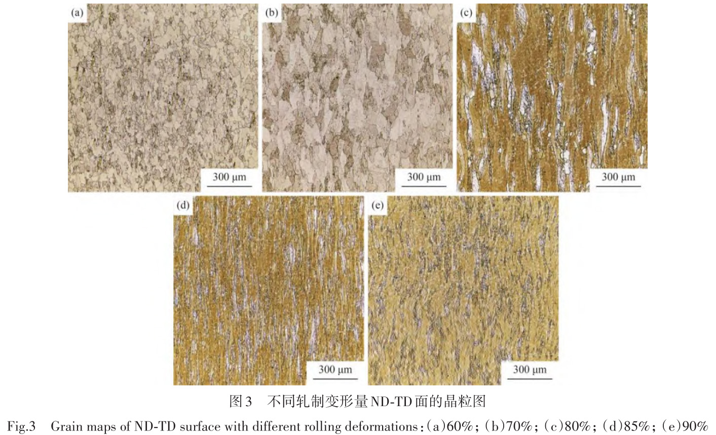 1729764536237787.jpg t3.jpg