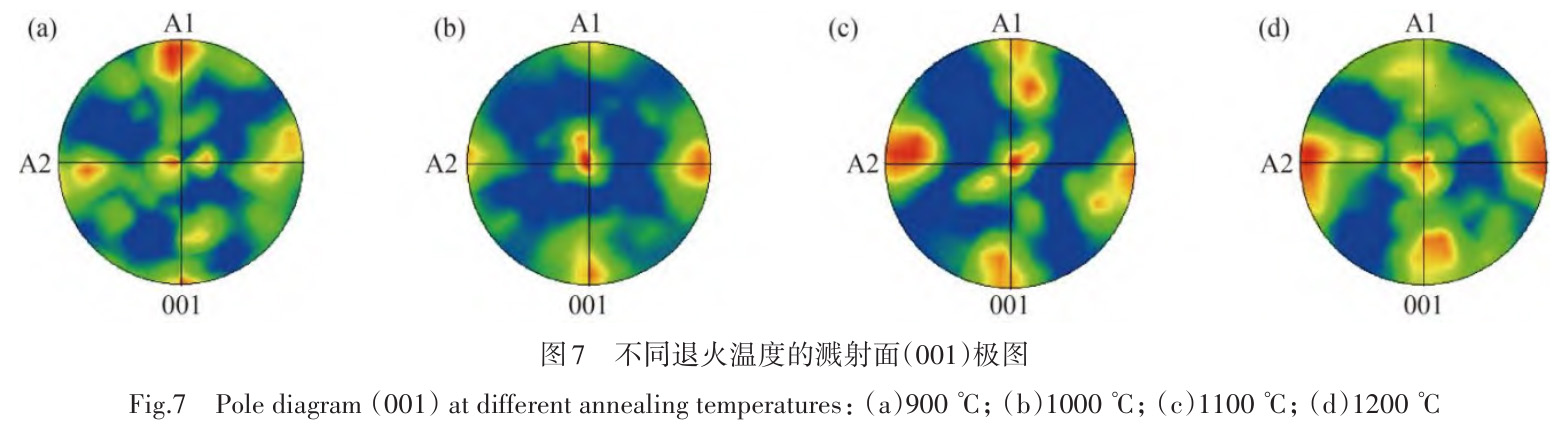 1729764579758205.jpg t7.jpg