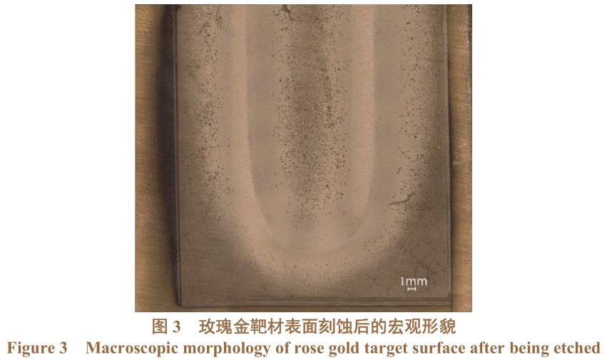 1730080873503781.jpg 3.jpg