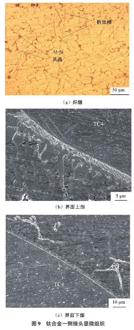 1734838315939043.jpg 9.jpg