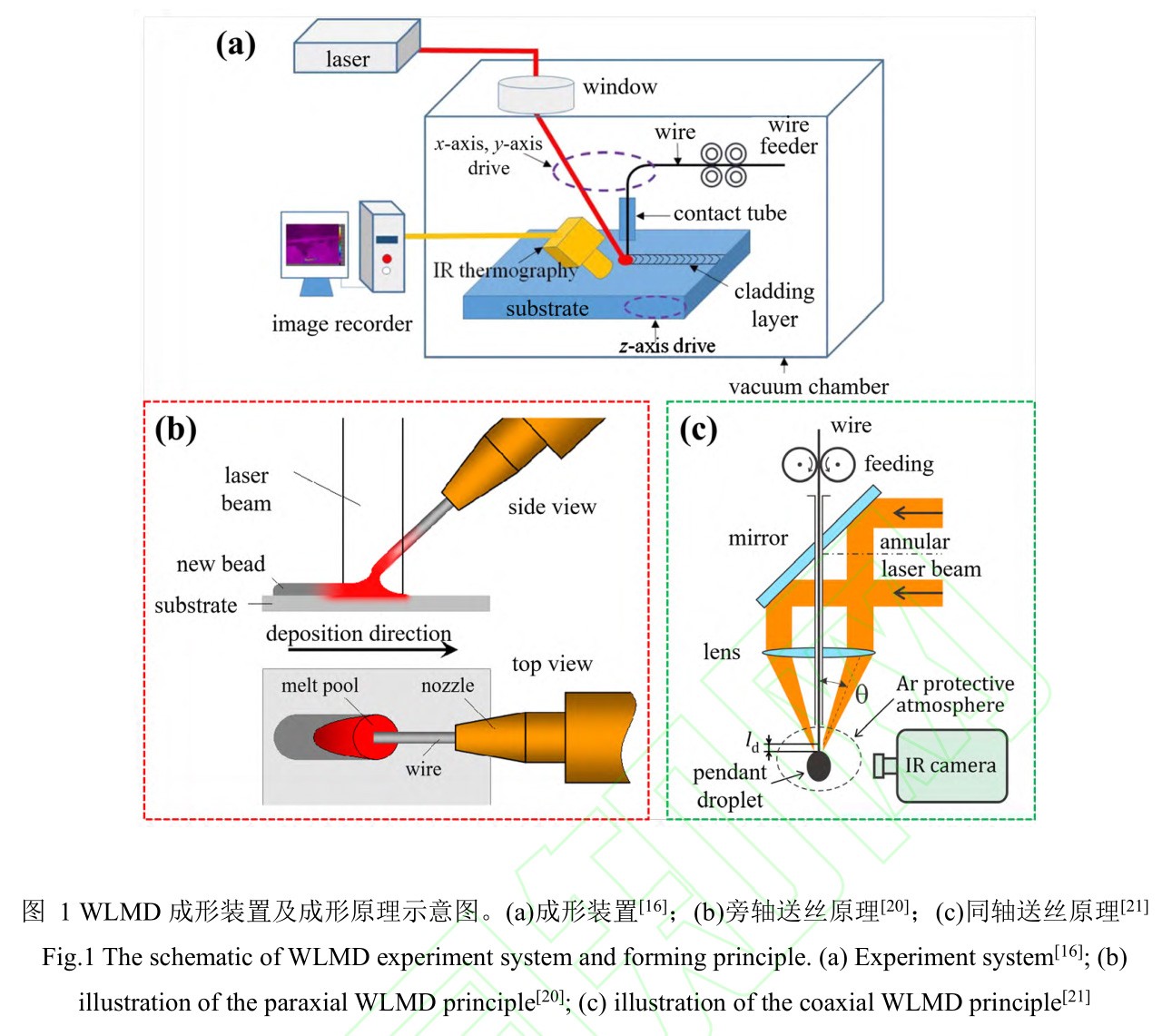 1735007746217513.jpg 1.jpg