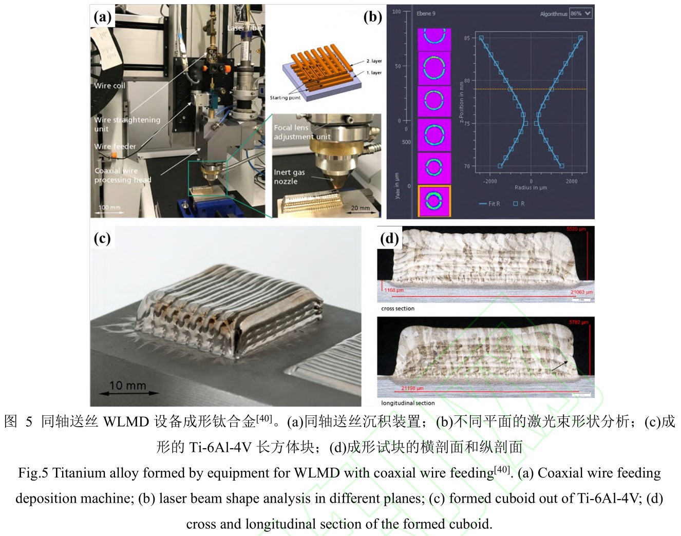 1735007783486012.jpg 5.jpg