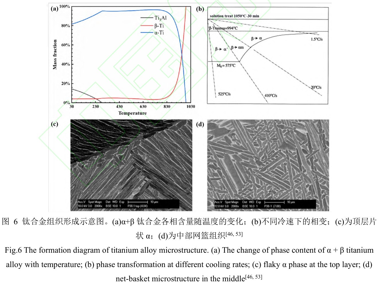 1735007793752996.jpg 6.jpg