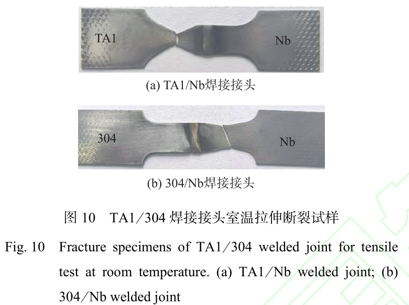 1735030068326011.jpg 10.jpg