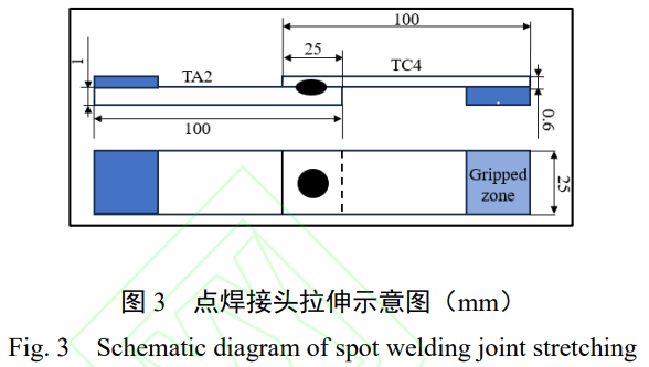 1768219338850556.png 3.png