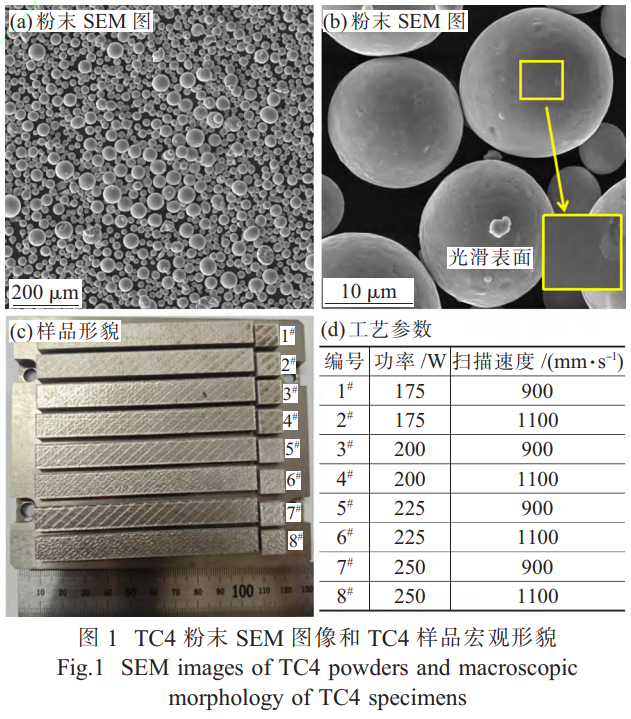 1768223033521756.png 截圖20260112205502.png