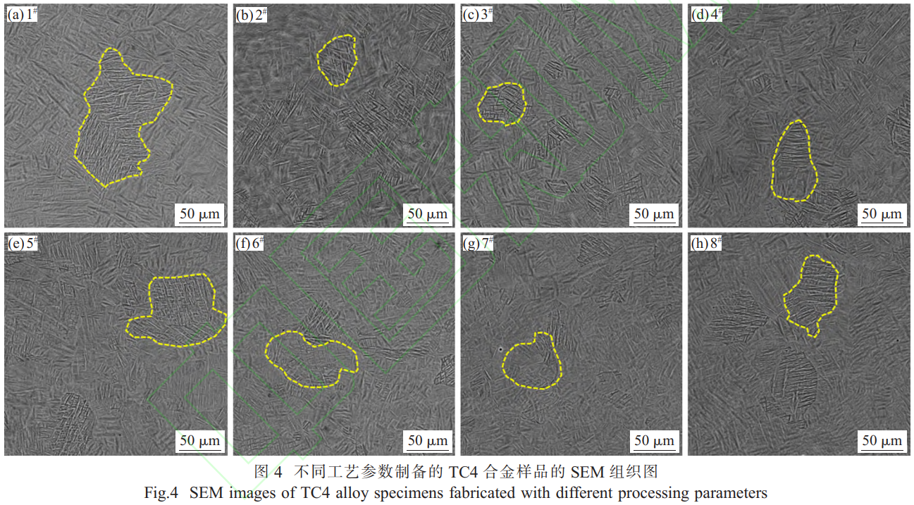 1768223095794461.png 截圖20260112205608.png