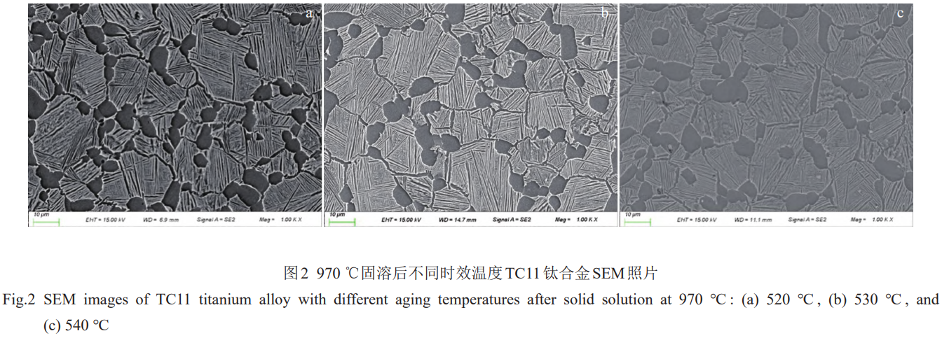 1776130409933841.png 2.png